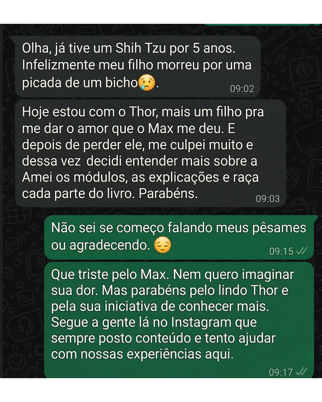 Depoimento de tutor 4